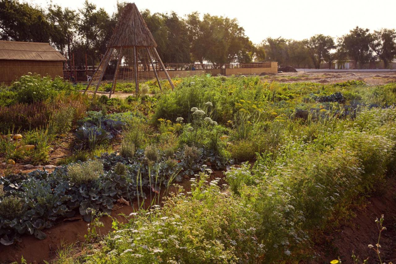 Heenat Salma Farm Ash-Shahaniyah Exterior photo