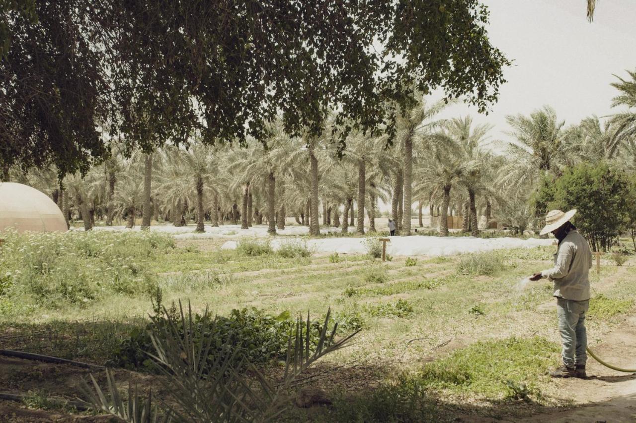 Heenat Salma Farm Ash-Shahaniyah Exterior photo